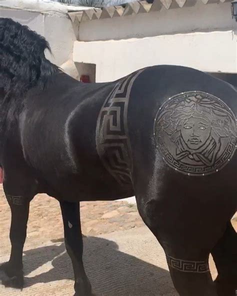 versace horse logo